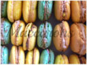 MACCARONS