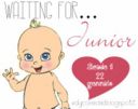Waiting for Junior: un nuovo contest