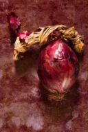 Hard Rock Vegetables - Cipolla