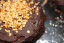 Mini torte crema al rum e cioccolato