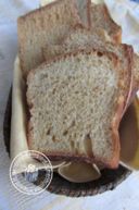 le mie prime fette biscottate
