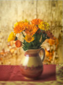 I Colori della Primavera