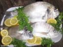 Cartoccio di Pesce al Limone