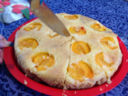 Con e Senza Bimby, Torta Capovolta alle Albicocche