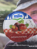 Novità: yogurt Mila alla castagna