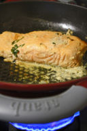 Salmone marinato allo yogurt e soia