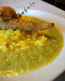 Risotto alla zafferano e gallinella croccante su crema di zucchine al profumo di timo