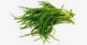 Agretti