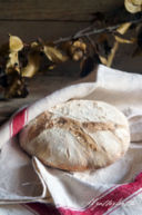 Pain au levain (con lievito madre a coltura liquida)