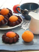 DELIZIE AL CIOCCOLATO E ALBICOCCHE