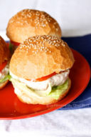 Dissertazioni carnivore (e un hamburger di pollo)