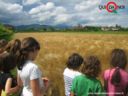 Lo strano mondo del food, che tanto strano non è # a cap' sott