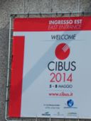 CIBUS