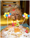 TORTA DI MELE E.....TANTI AUGURI KELLY