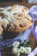 Colomba al cioccolato a lievitazione naturale