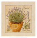 ...strane sensazioni affollano la mente....