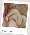 Biscottini della fortuna