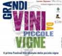 Grandi Vini da Piccole Vigne