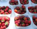 Allergia alla Fragola?