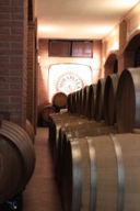 Domenica 27 novembre: Food Blogger in Franciacorta