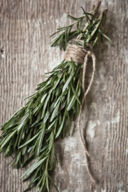 Tisana al rosmarino / Rosemary infusion