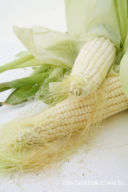 Pannocchie lesse...e Buone Vacanze