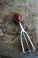 Sorbetto al cioccolato / Chocolate sorbet