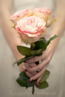 Rose rosa per Open Kitchen magazine