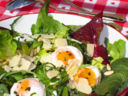 L'insalata è una forma d'arte