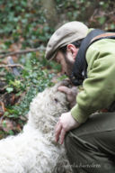 Savini Tartufi ... una storia, di passione, di amici, e di cani!