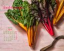 Calendario Desktop Aprile 2015