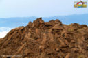 Immaginifica Etna