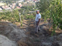 Campi Flegrei, Agnanum: il Vigna delle Volpi raddoppia