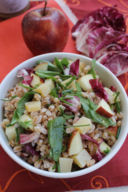 Insalata di farro con pecorino e mela al pesto di noci