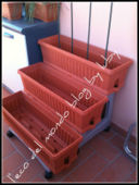 ORTO SUL BALCONE: STAGIONE 2012