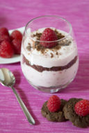 Mousse di yogurt, lamponi e biscotti