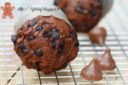 (finto) panettone proteico al cioccolato