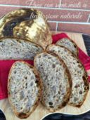 Pane integrale con semi misti a lievitazione naturale!!!