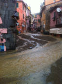 I limoni di  Monterosso