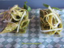 pennucce integrali al pesto di limone