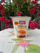 Yogurt Müller al gusto sorbetto mandarino