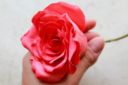 TUTORIAL ROSE SU FERRETTO