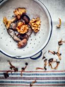 Funghi