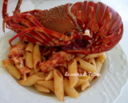 Penne rigate al sugo di aragosta
