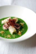 Insalata liquida di Scarola con Calamari, Polvere di Lenticchie e Peperoncino