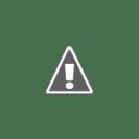 Ciambellone leggero ai mirtilli