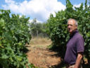 Montecucco Grotte Rosse 2007, Salustri