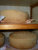 Il Pan di Spagna di Dipignano