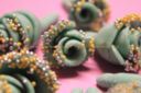 Prime decorazioni con MMF (Marshmallow Paste)