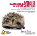 14 ottobre-14 novembre 2010: San Zeno Castagne, Bardolino & Monte Veronese